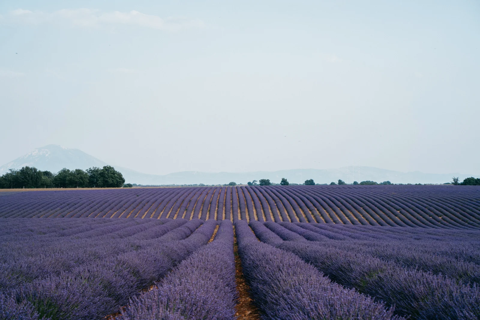 france-115.jpg