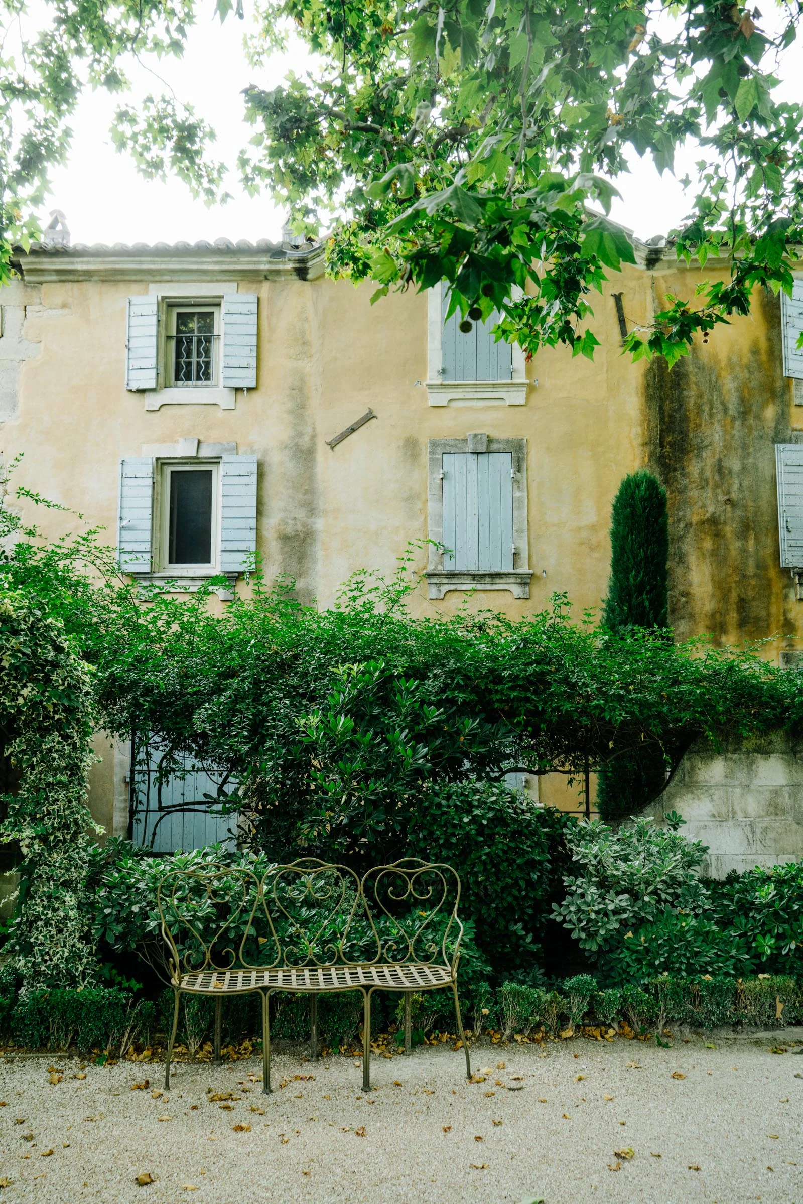 franceedits-26.jpg