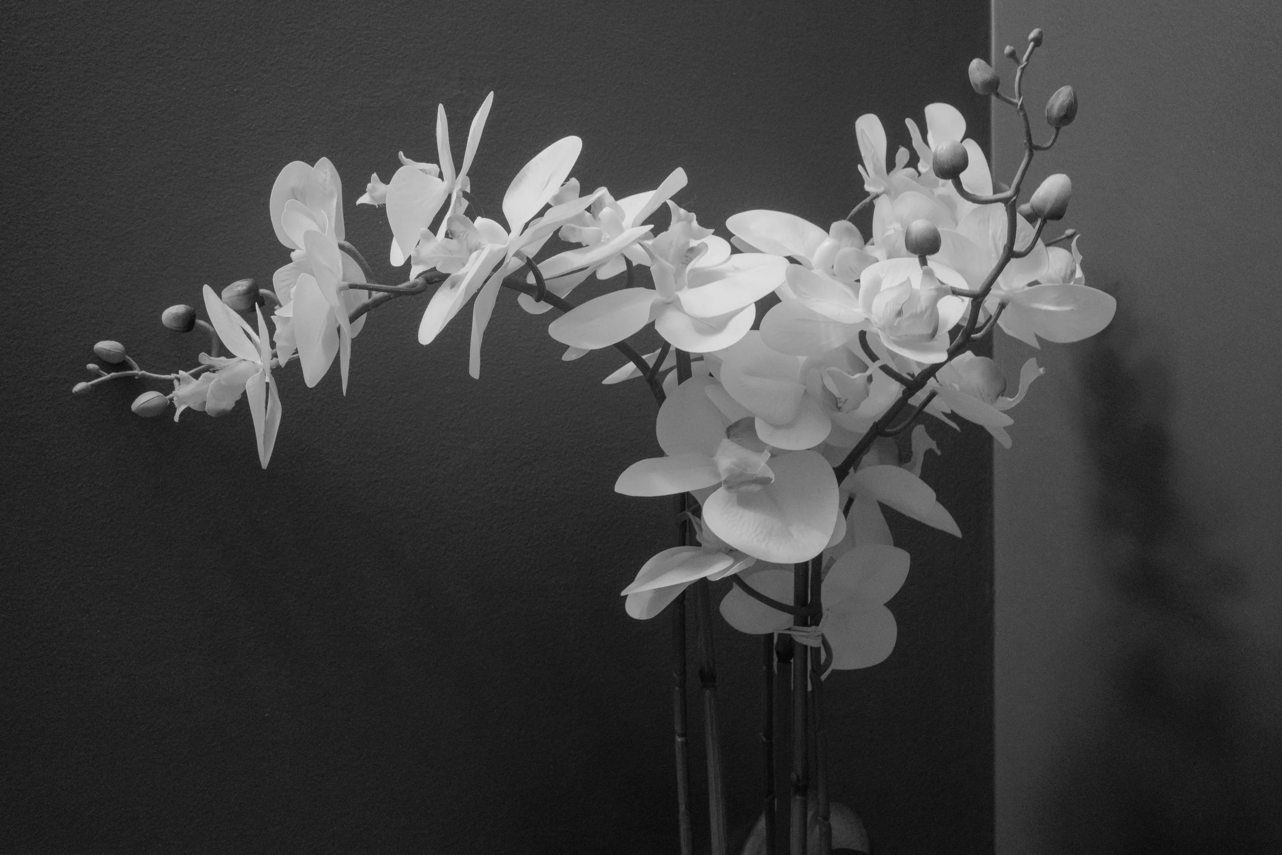 _R047344.jpg