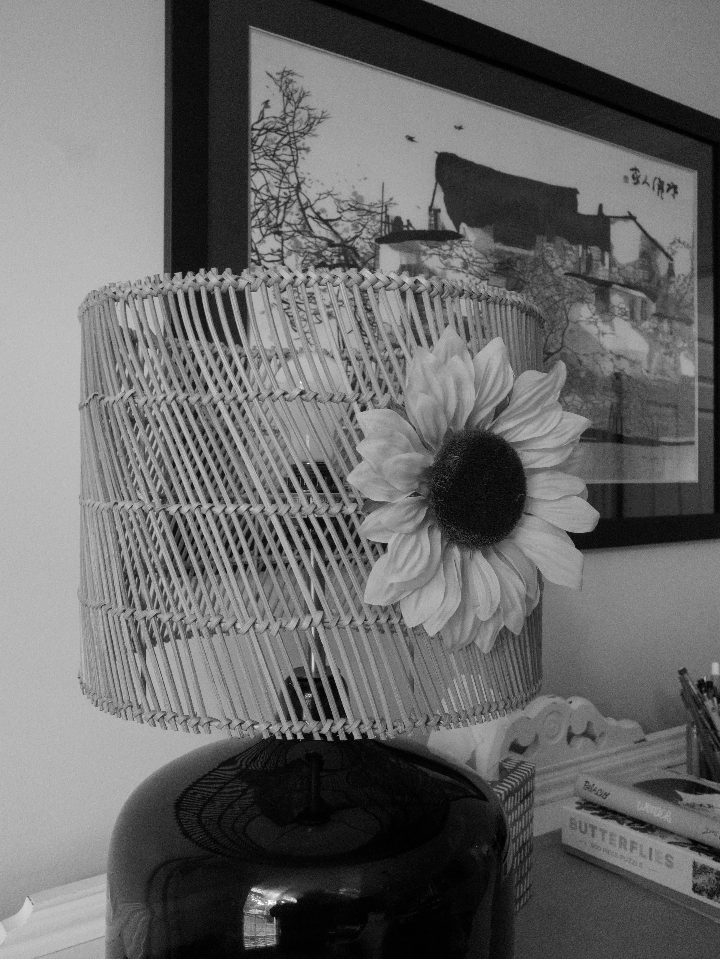_R047351.jpg