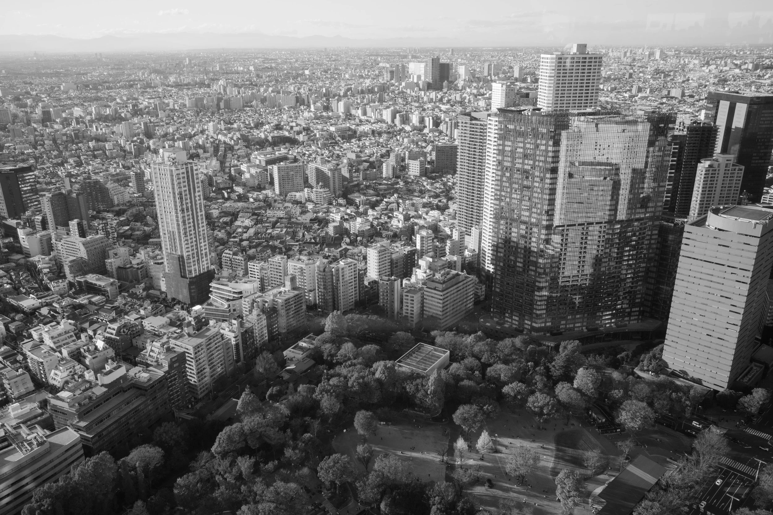 _R049082.jpg