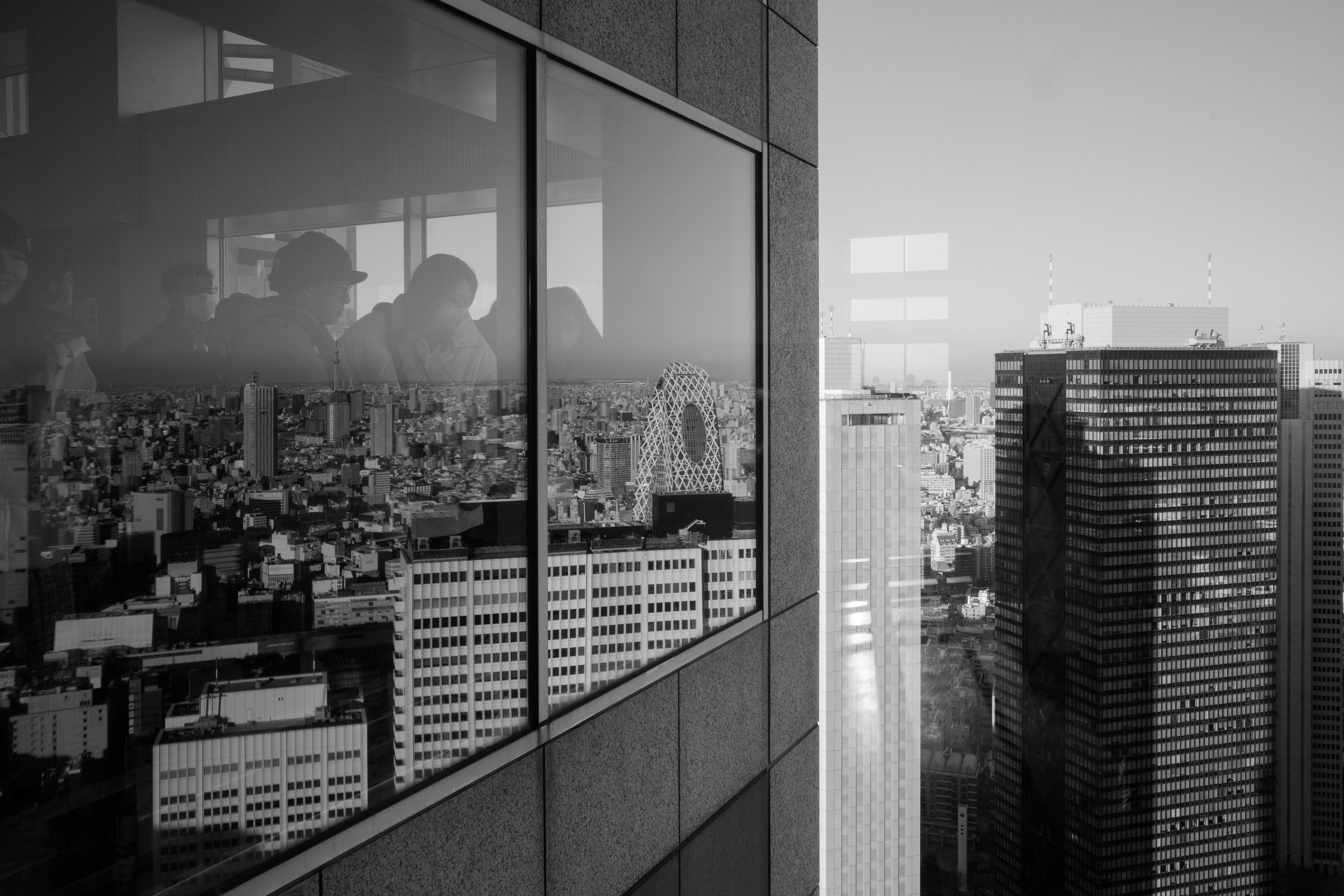 _R049093.jpg