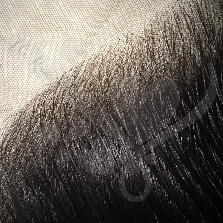 IMG_5223.PNG