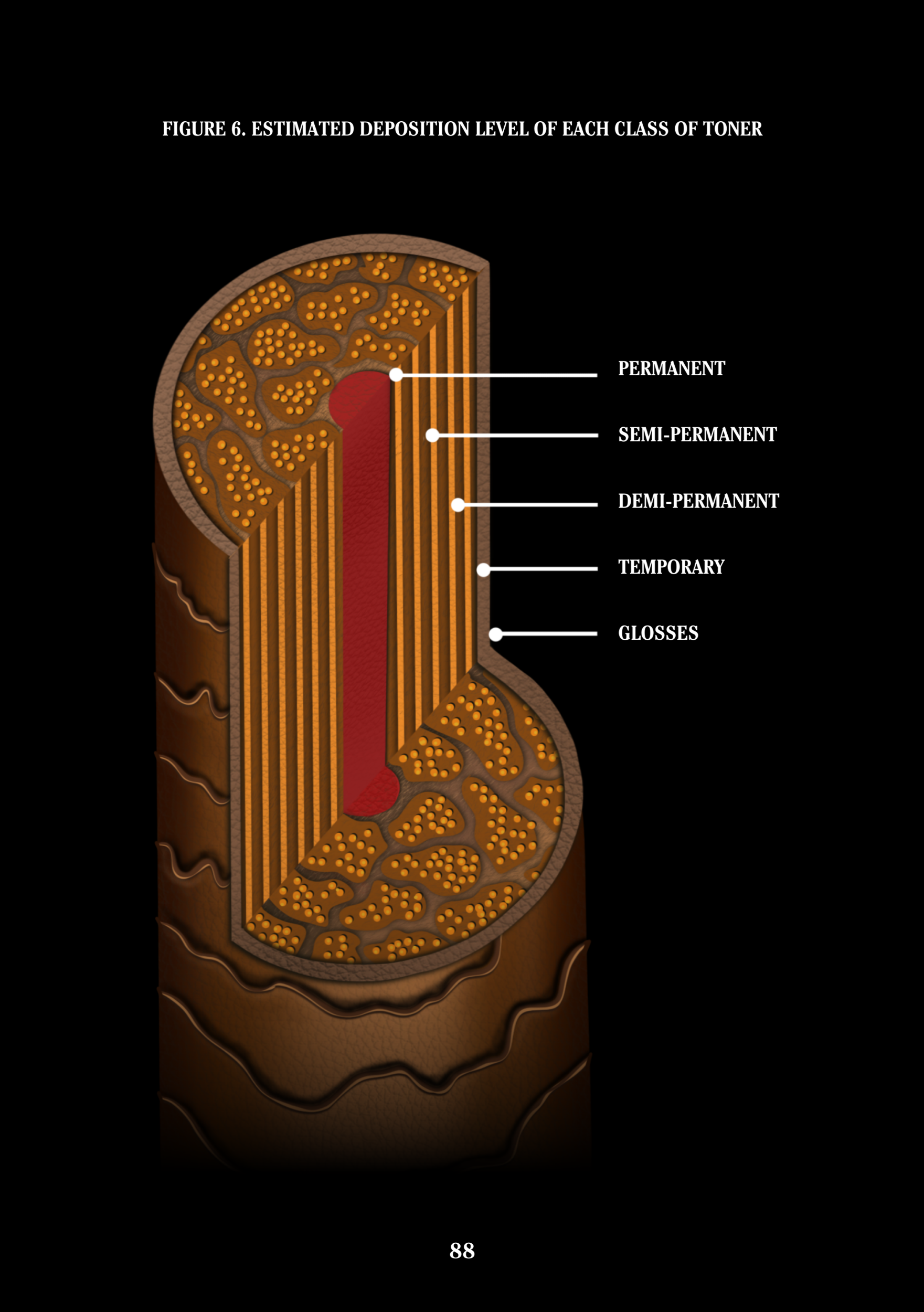 2D6A5477-1EC5-47AF-9DD8-63A9DB1CFEB1.png