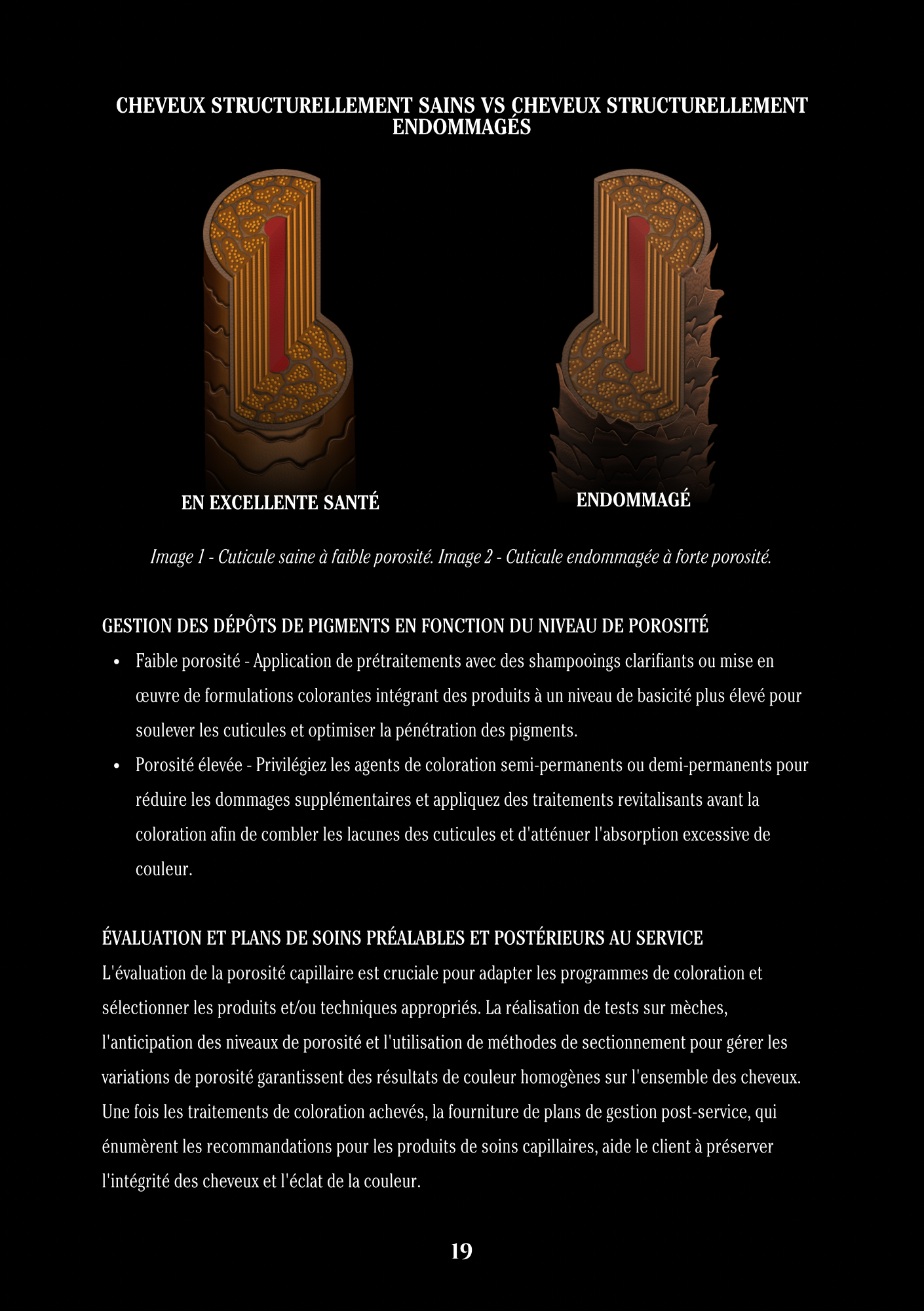 FRENCH - 25.PNG