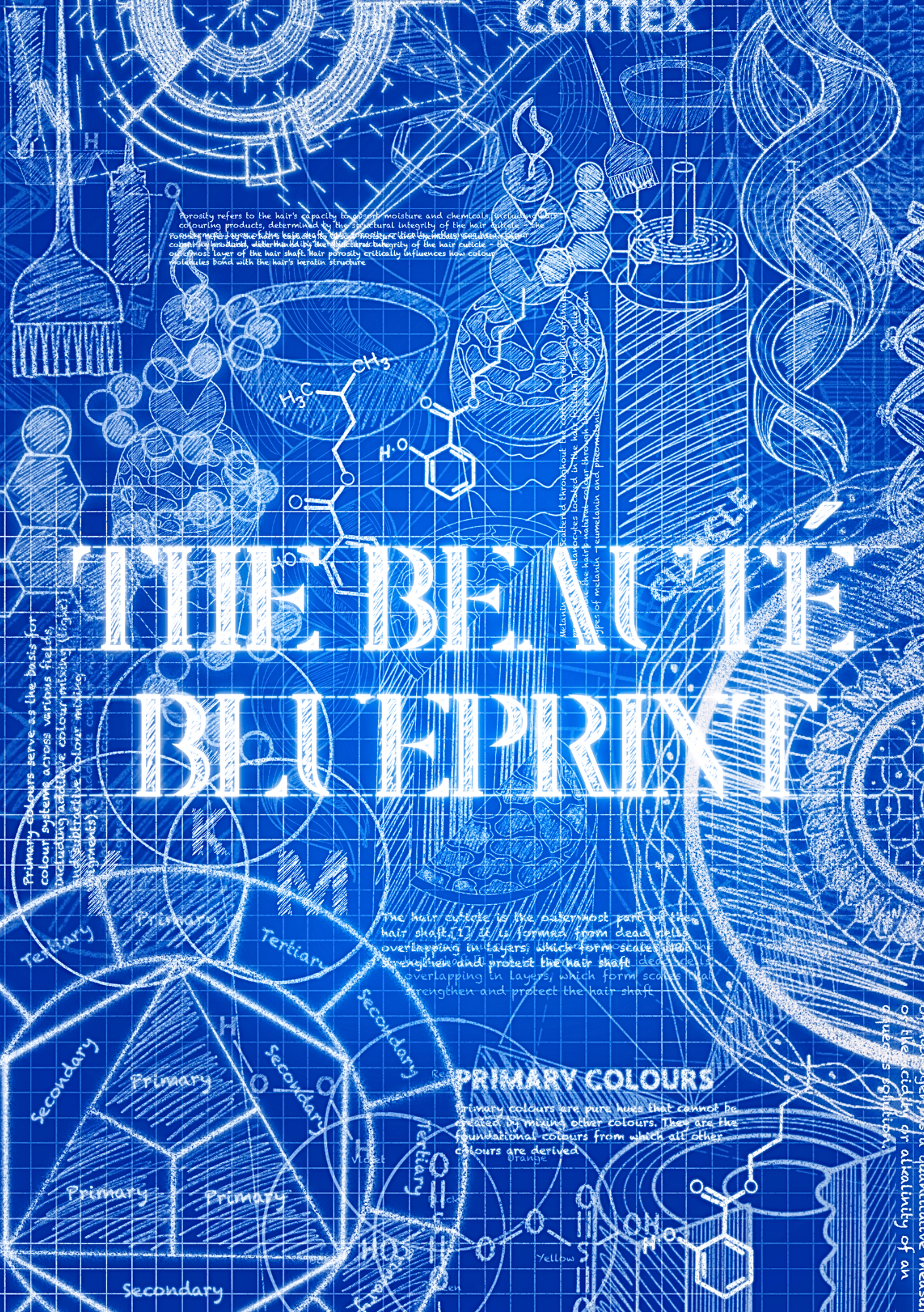 THE BEAUTÉ BLUEPRINT - TRADUCTION FRANÇAISE