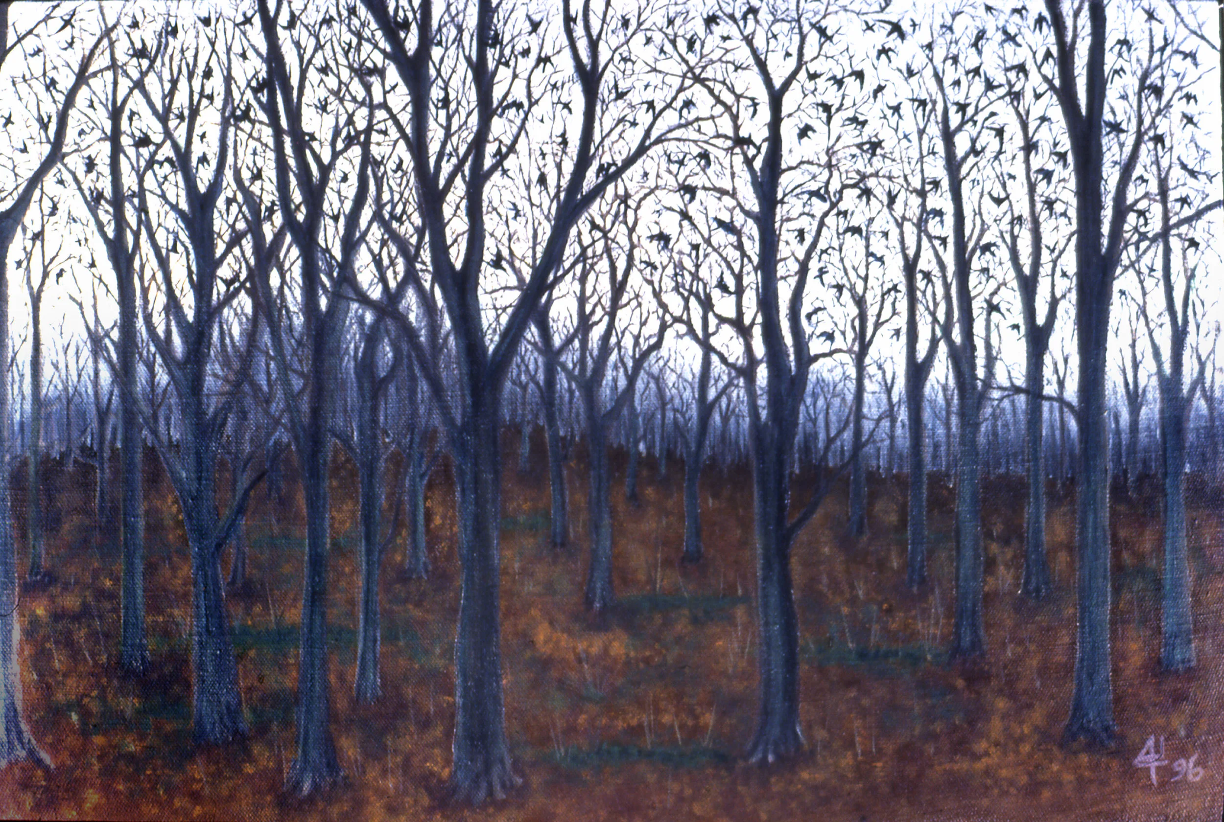 Forêt 1 - Birds