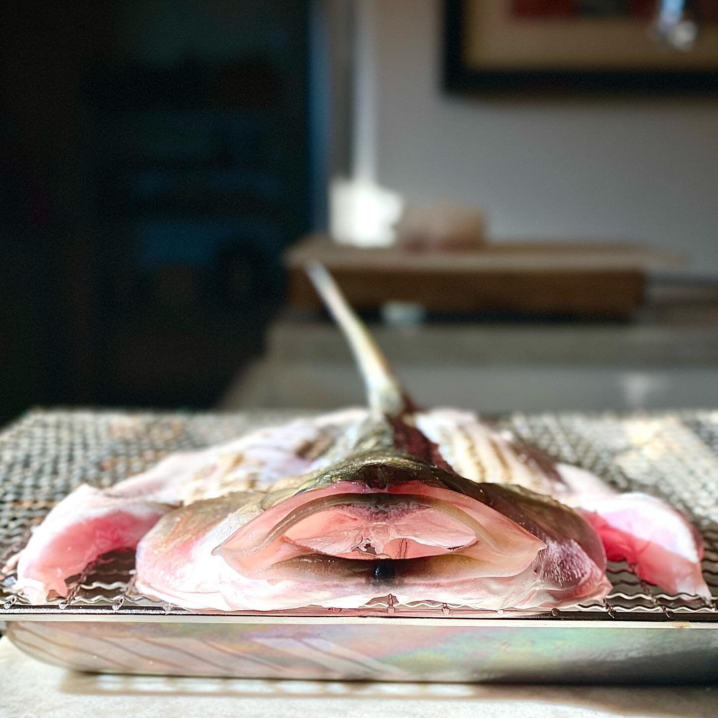 I&rsquo;m no @mrniland  but I&rsquo;ve cleaned a few fish in my day. I saved a few fish from our Texoma outing that didn&rsquo;t go into a birthday requested fish fry. #huntupagoodmeal #killerchefs .
.
. 
#killerchefs #cookwhatyoukill #wildgame #fera