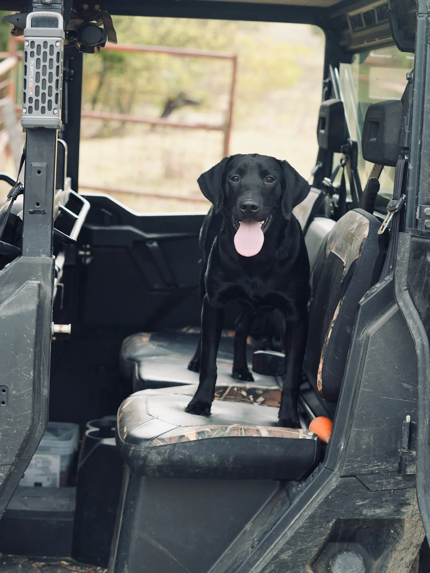 The air finally broke &mdash; cool rain, wet earth, and the sound of wings somewhere far off. Banner chased a few bumpers, I patched a few blinds, and for a moment everything slowed down. Just us, the rain, and the marsh breathing again.
#huntupagood