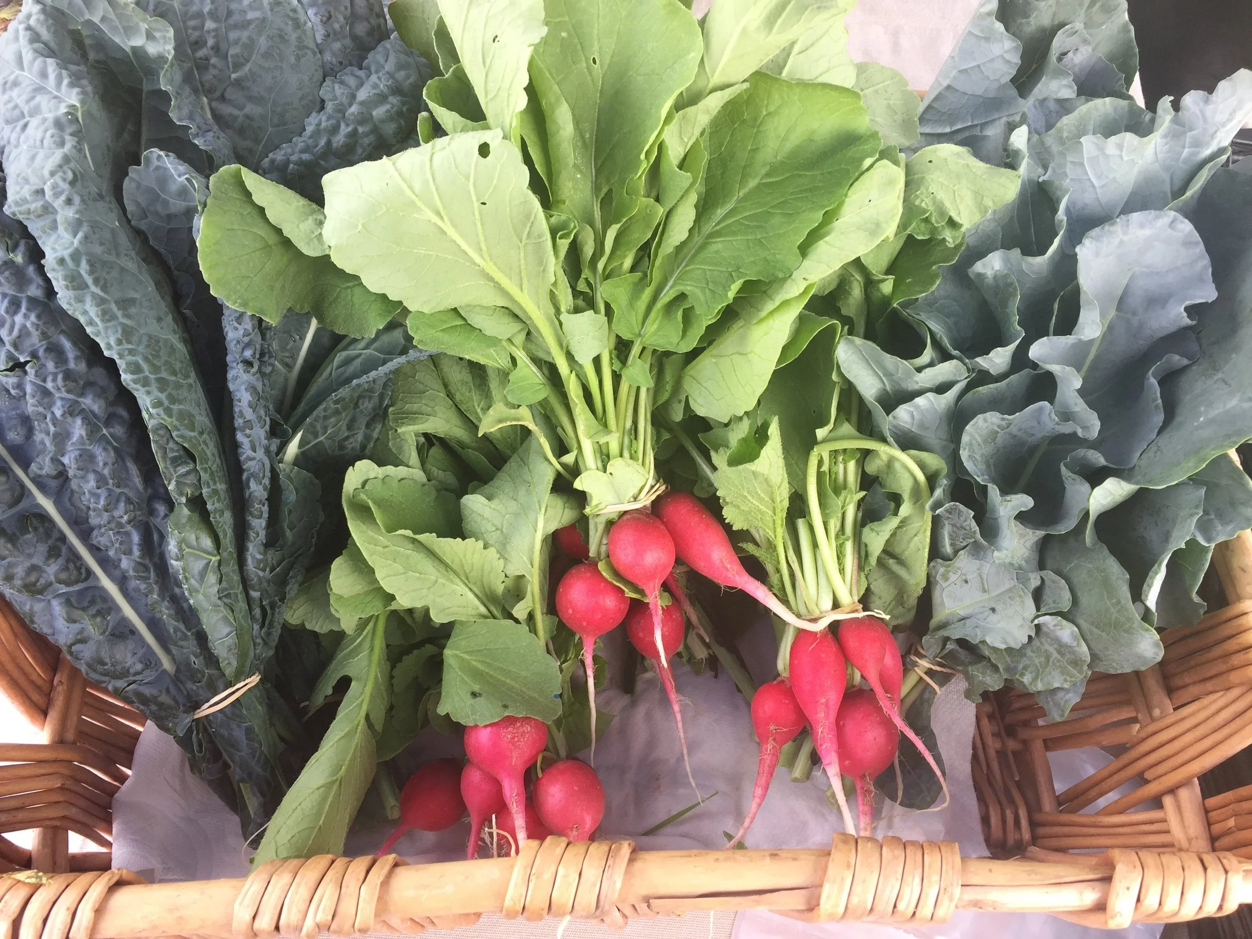 Lacinato Kale, Radish, Broccoli Greens