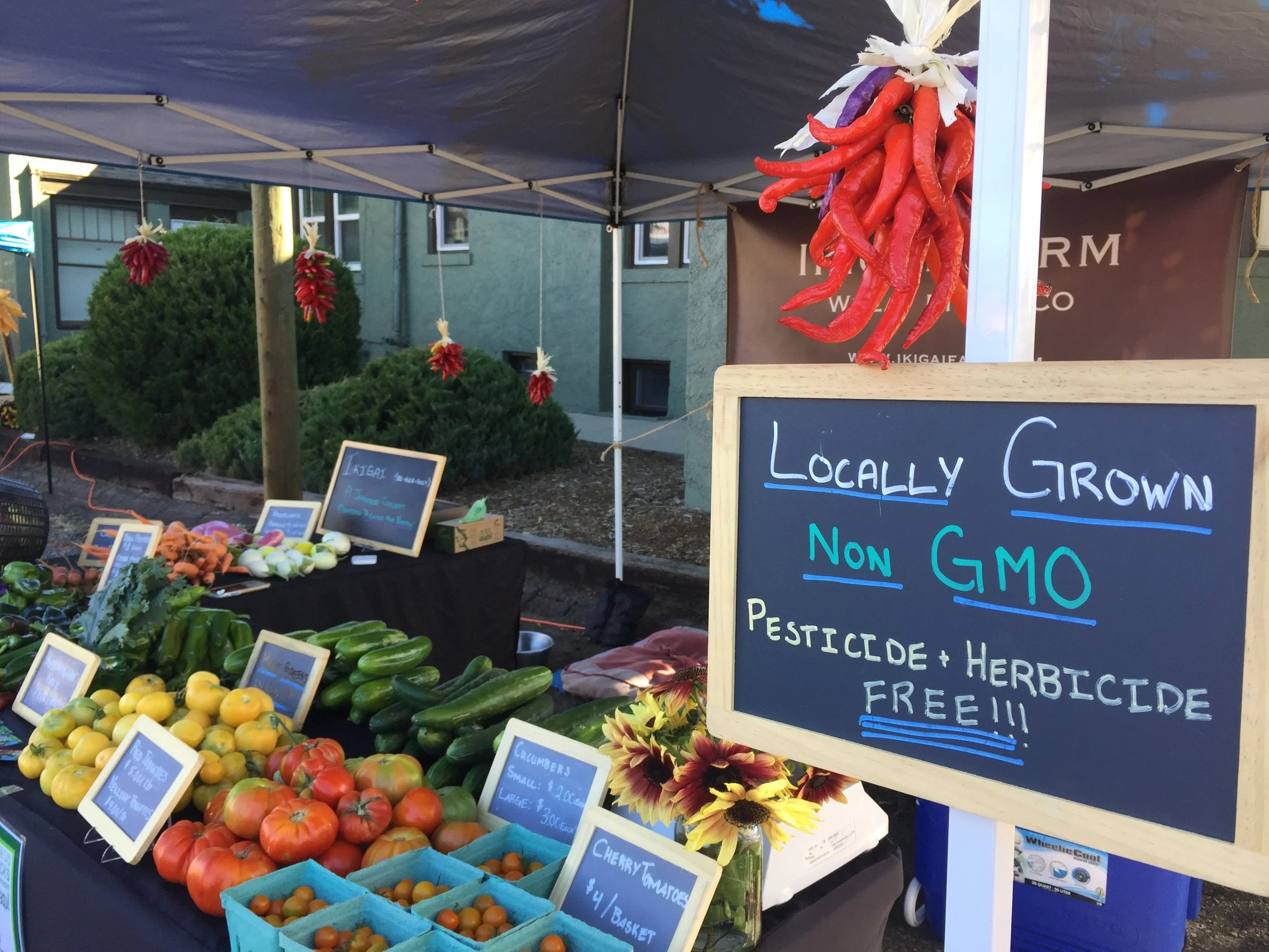 Market Day at the Four Seasons Farmers and Artisans Market
