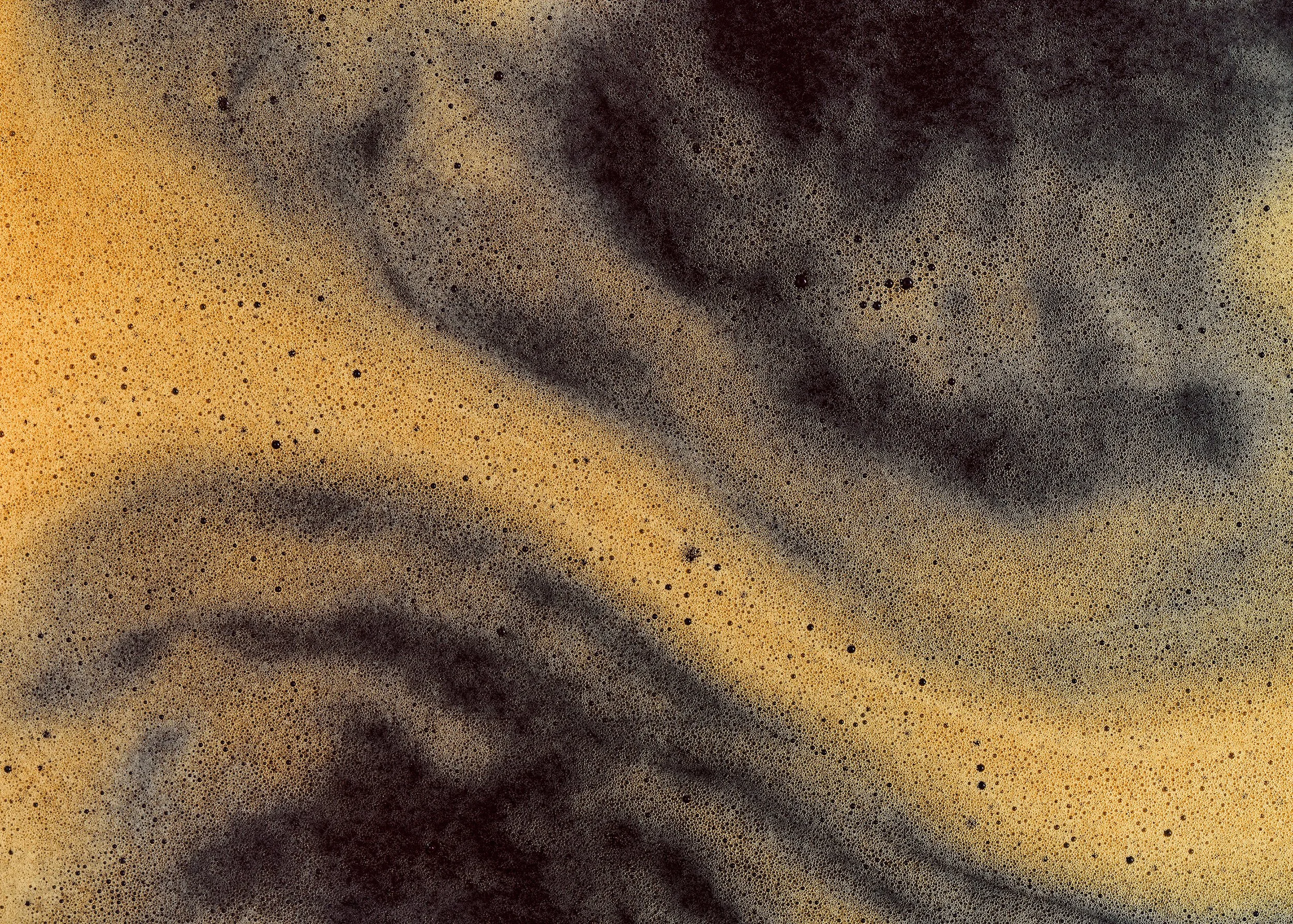 WEB crop COFFEE_0329.jpg