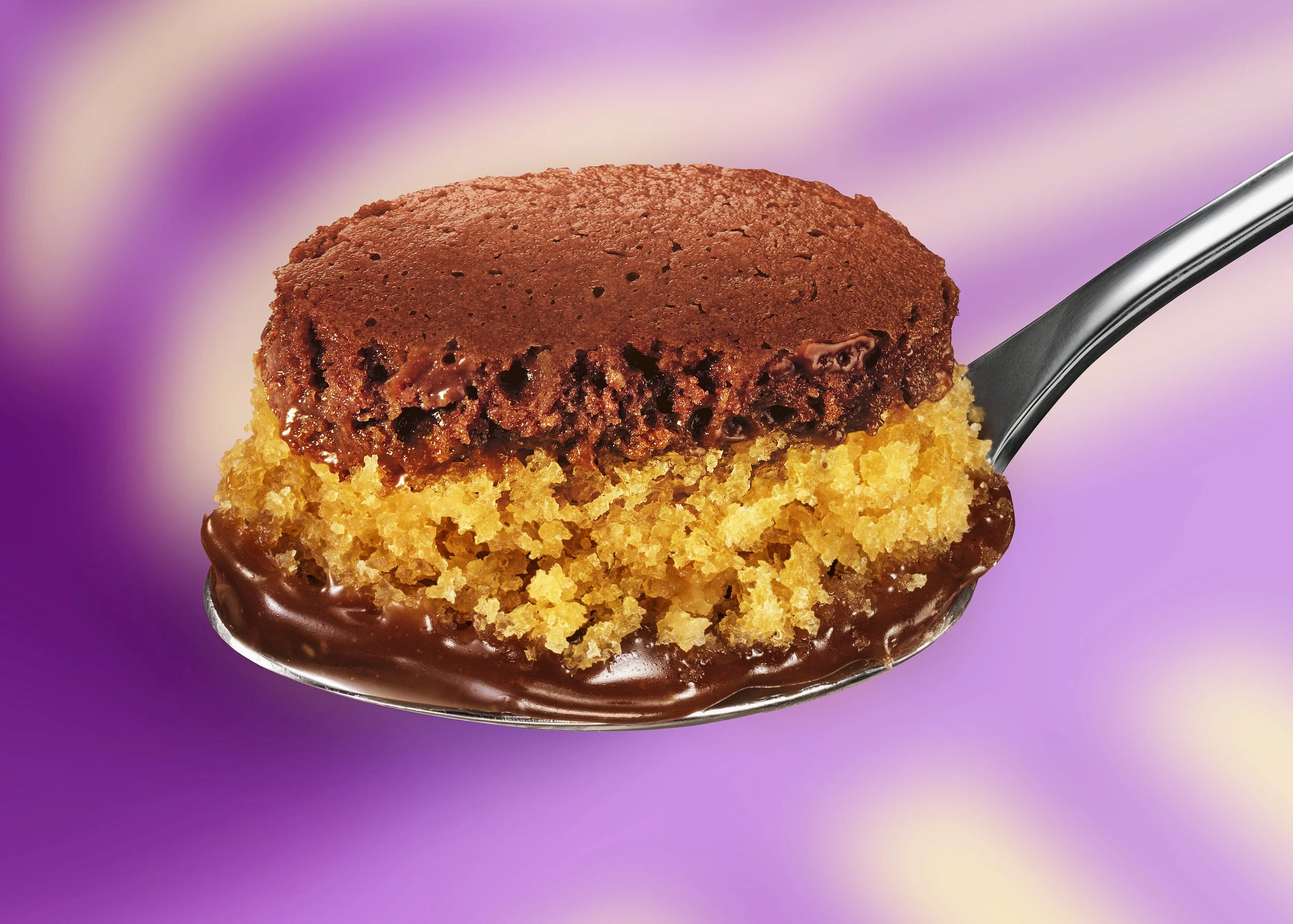 web  CAKE POT_CHOCOLATE FUDGE_HERO.jpg