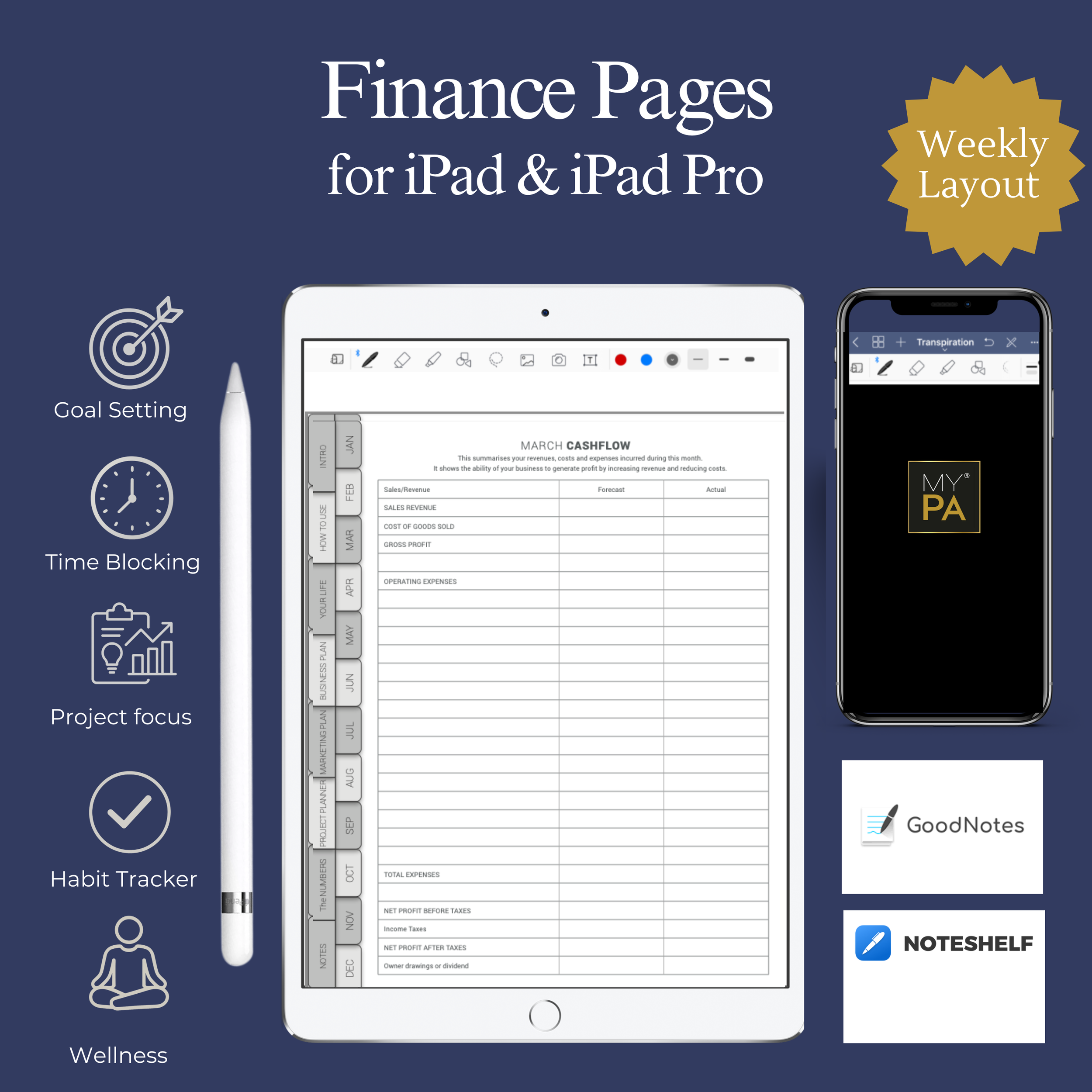 Finance Pages- digital planner for ipad .png