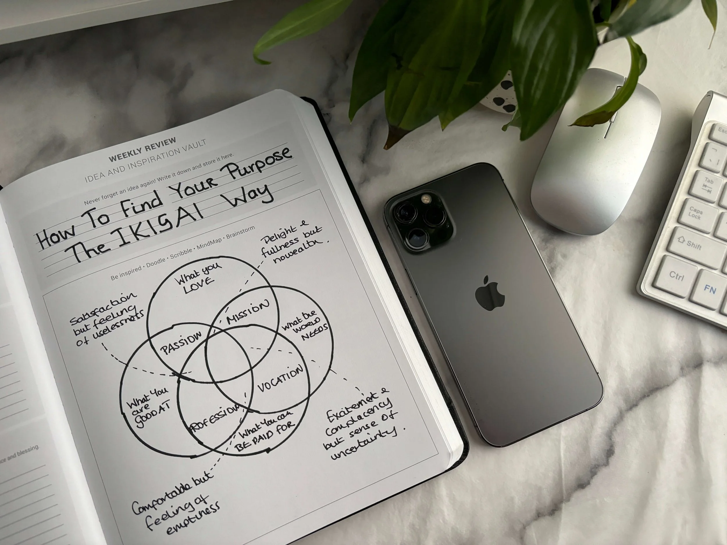 HOW TO FIND YOUR PURPOSE 