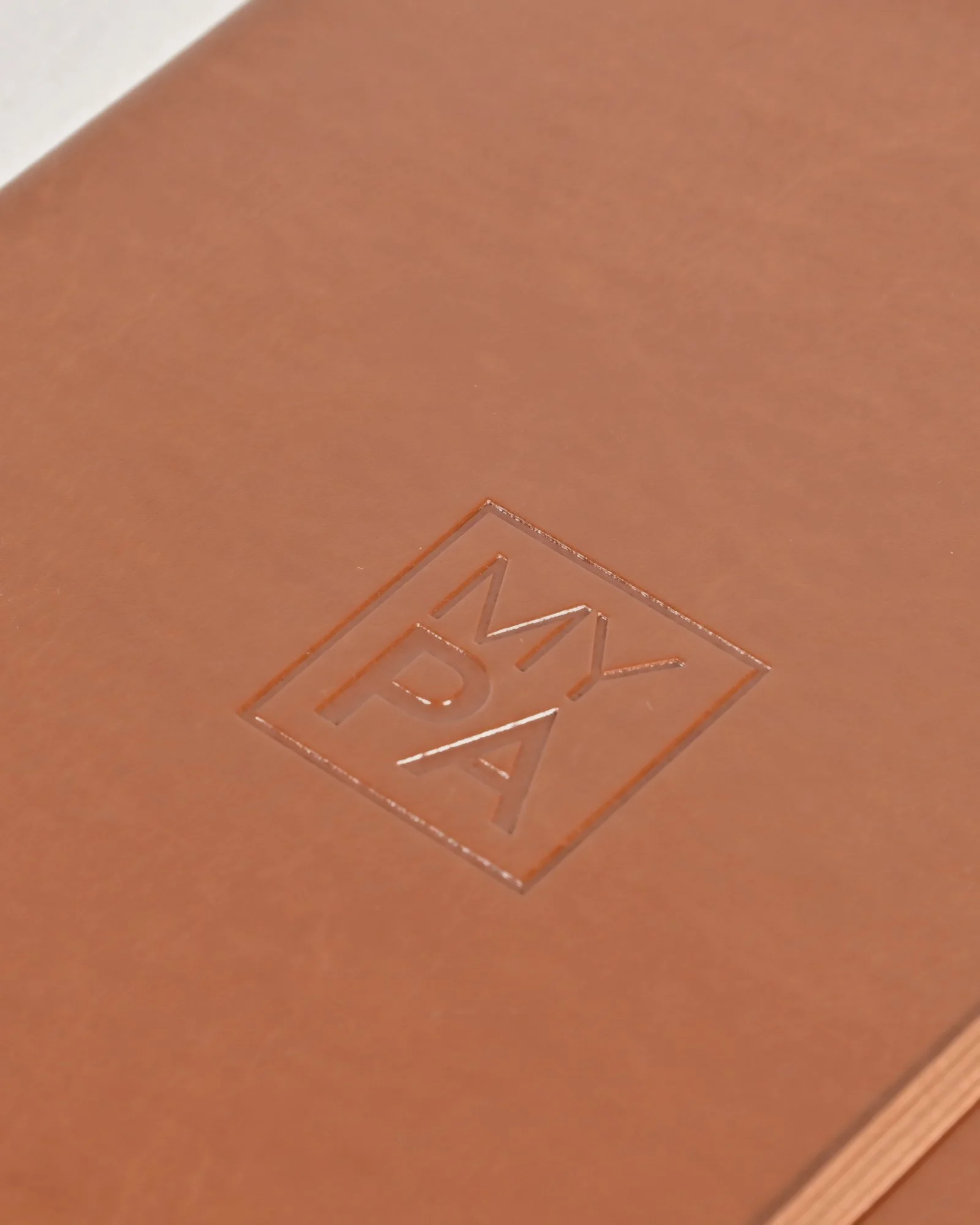 mypa27-tan-5.jpg