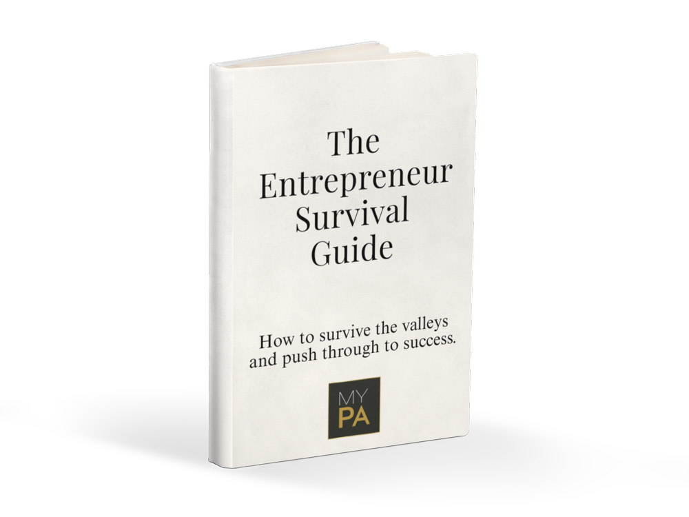 Entrepreneur Survival Guide