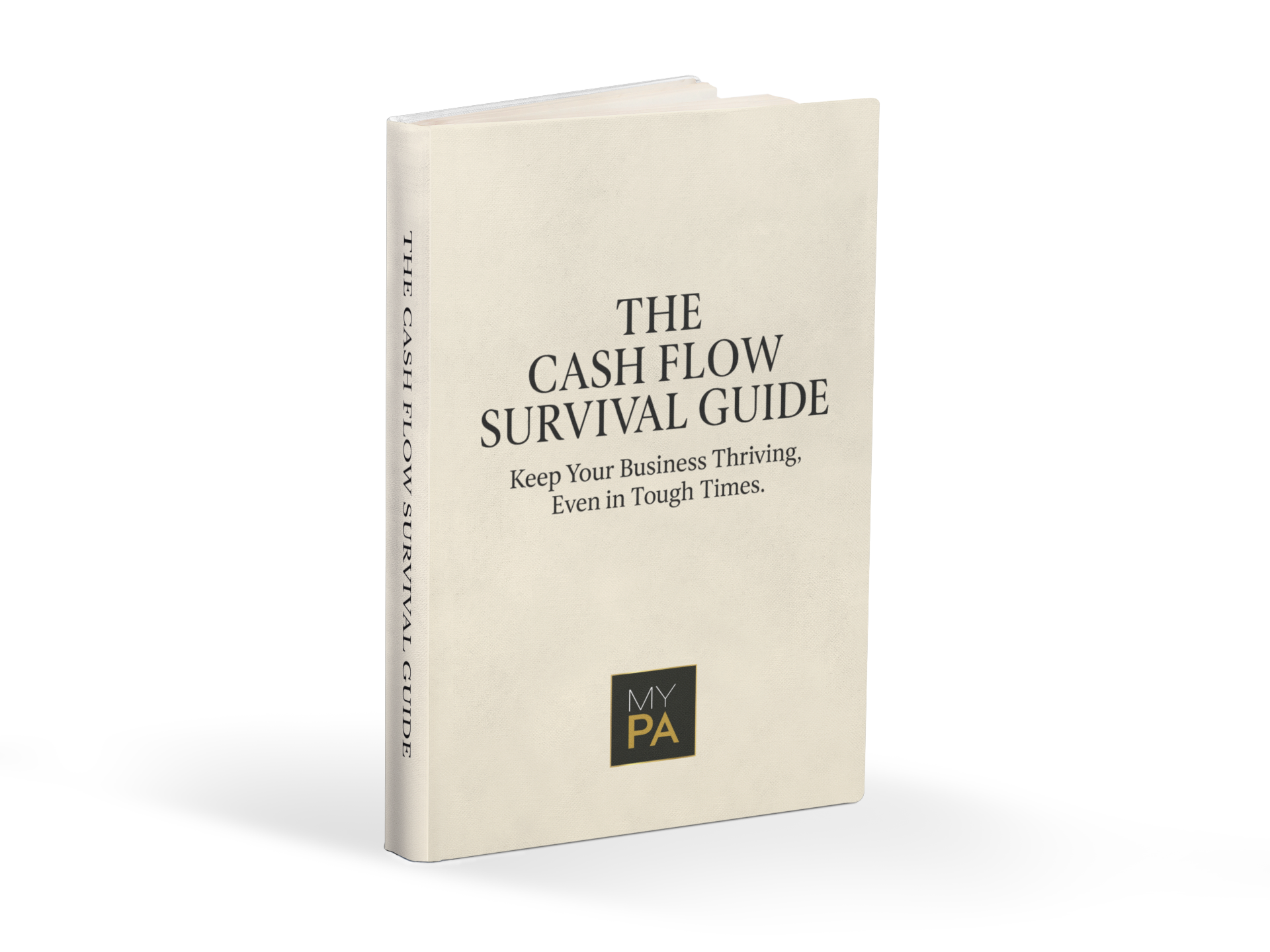 The Cash Flow Survival Guide