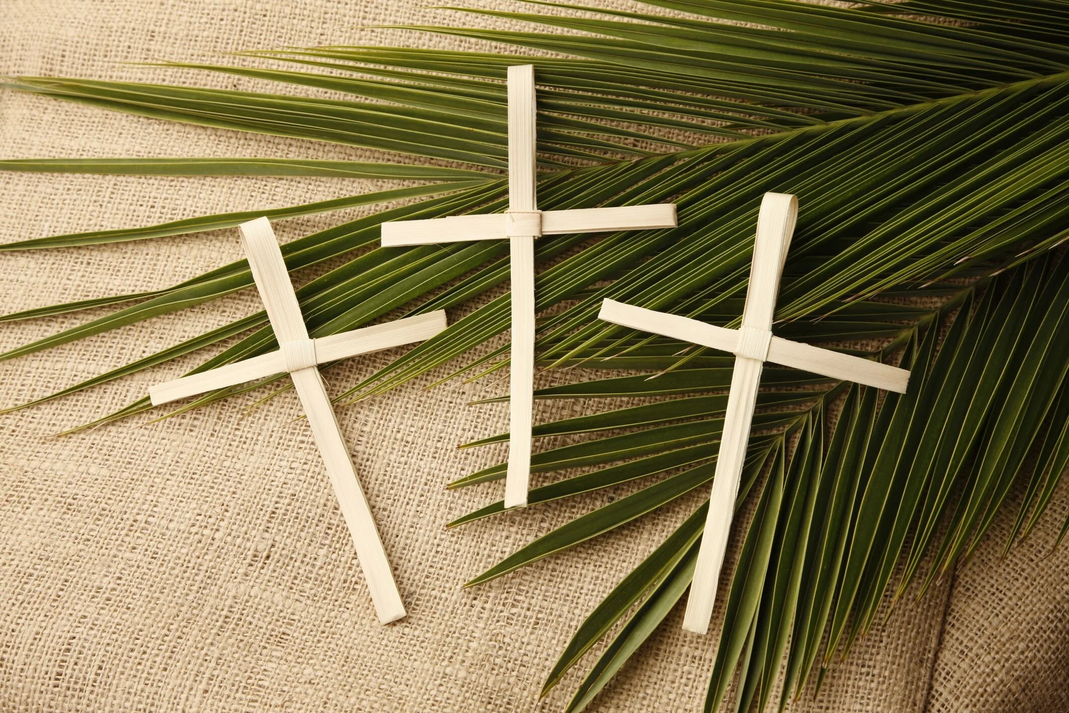 Palm Sunday Service and BBQ