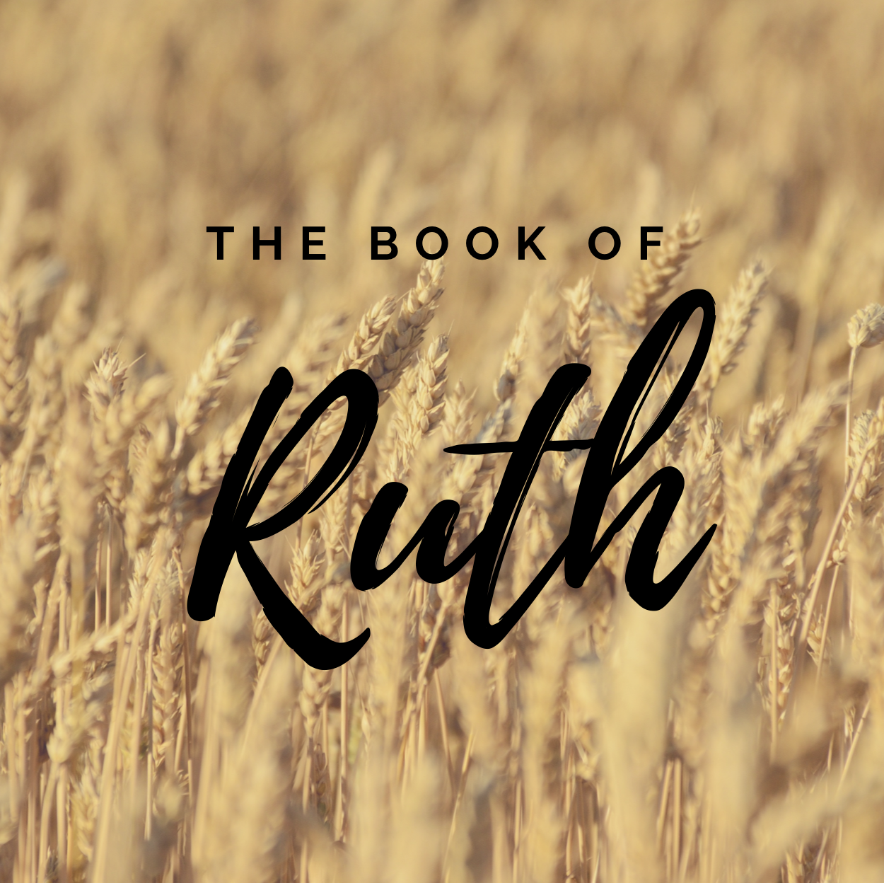 Ruth graphic IG.png