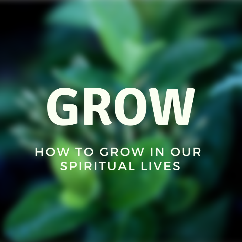 Grow with subtitle IG.png