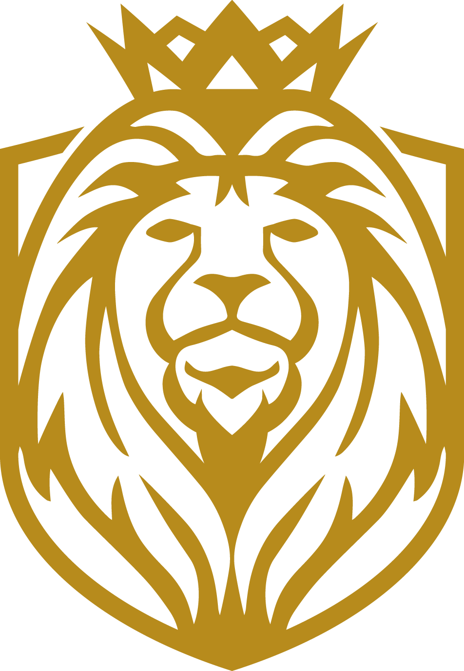 Elías Josué Calisto