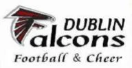 Pic- Experience - Tri Valley Falcons - DUBLIN Falcons - Logo.jpg