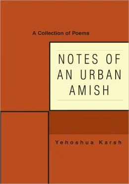 notesofanurbanamish.jpg