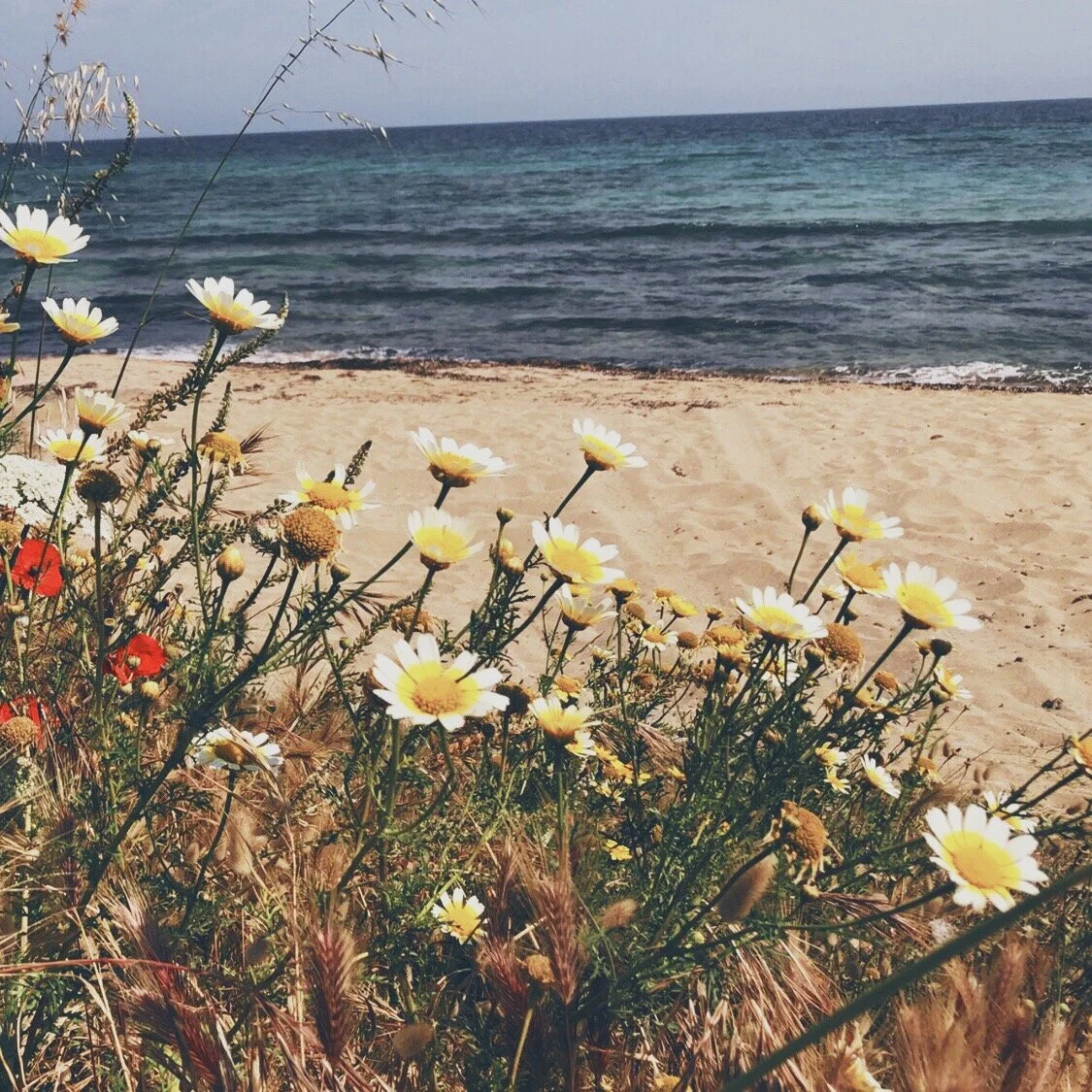 Gratitude Practice 101