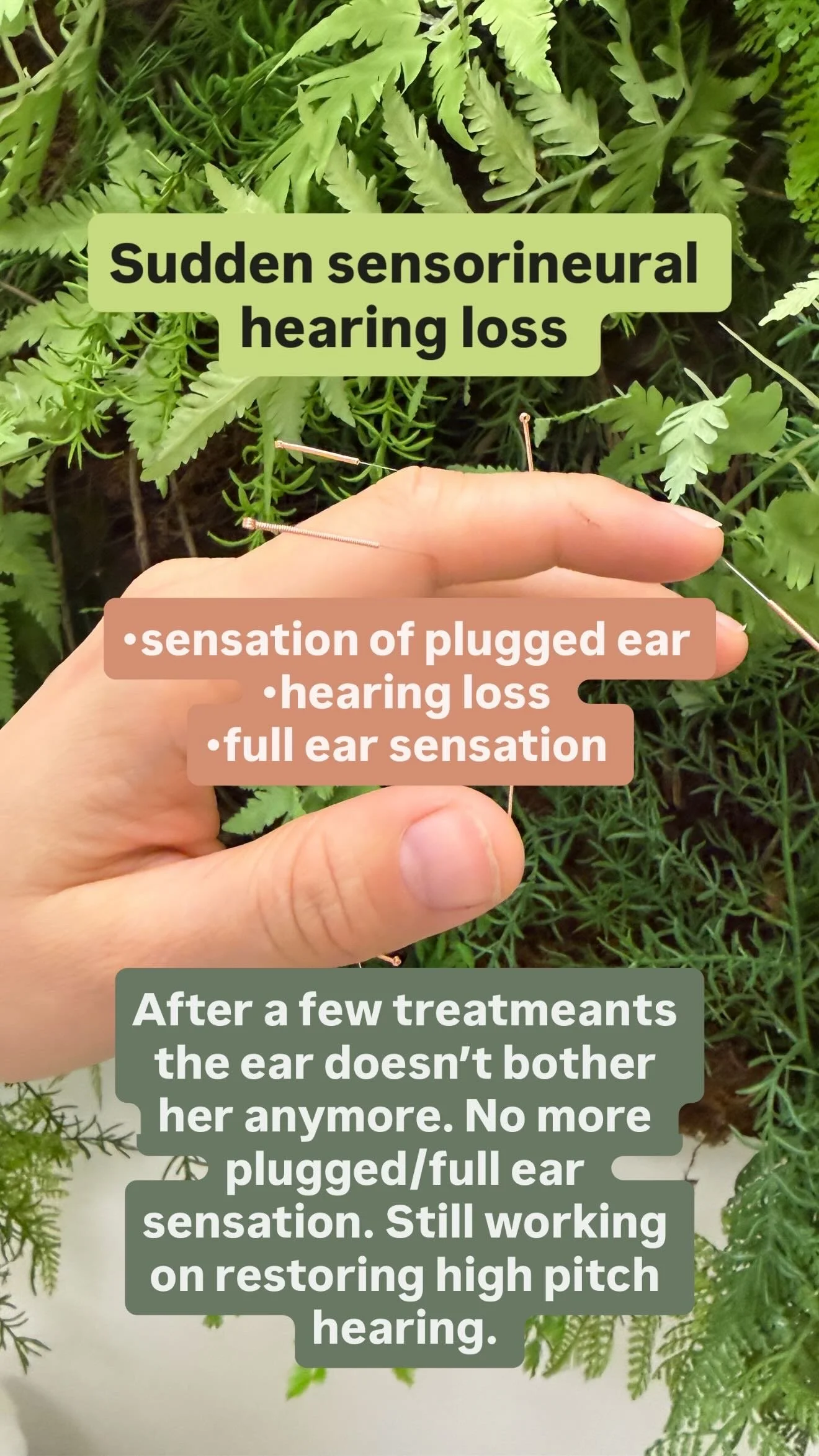 #Five Senses #Sujok #SujokAcupunture #Acupuncture #AcupunctureVancouver