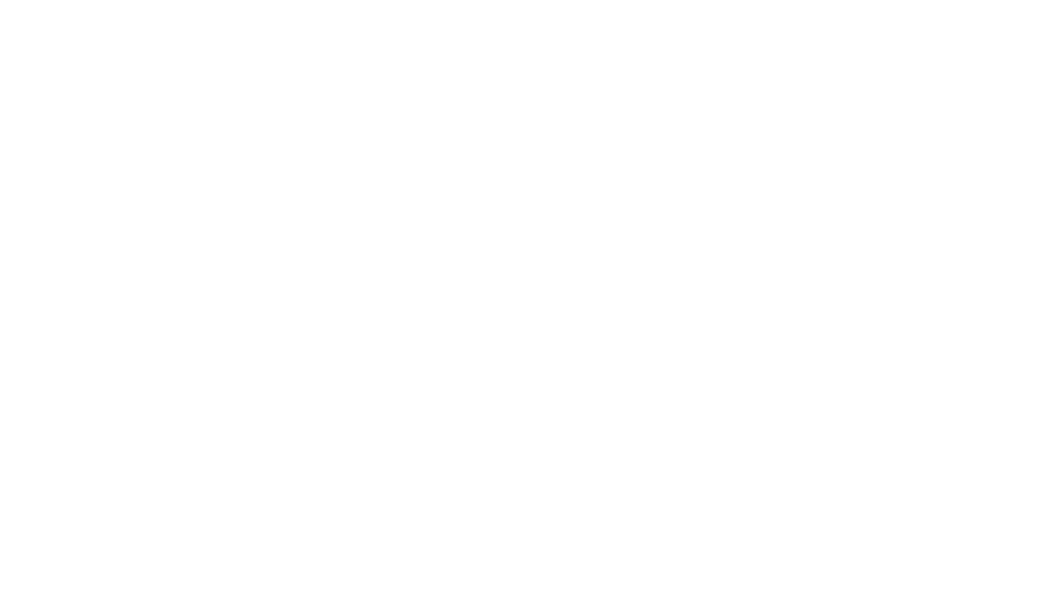 The Bird's Nest