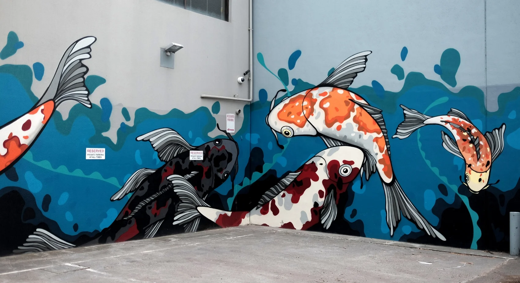 KOI — BONSAI