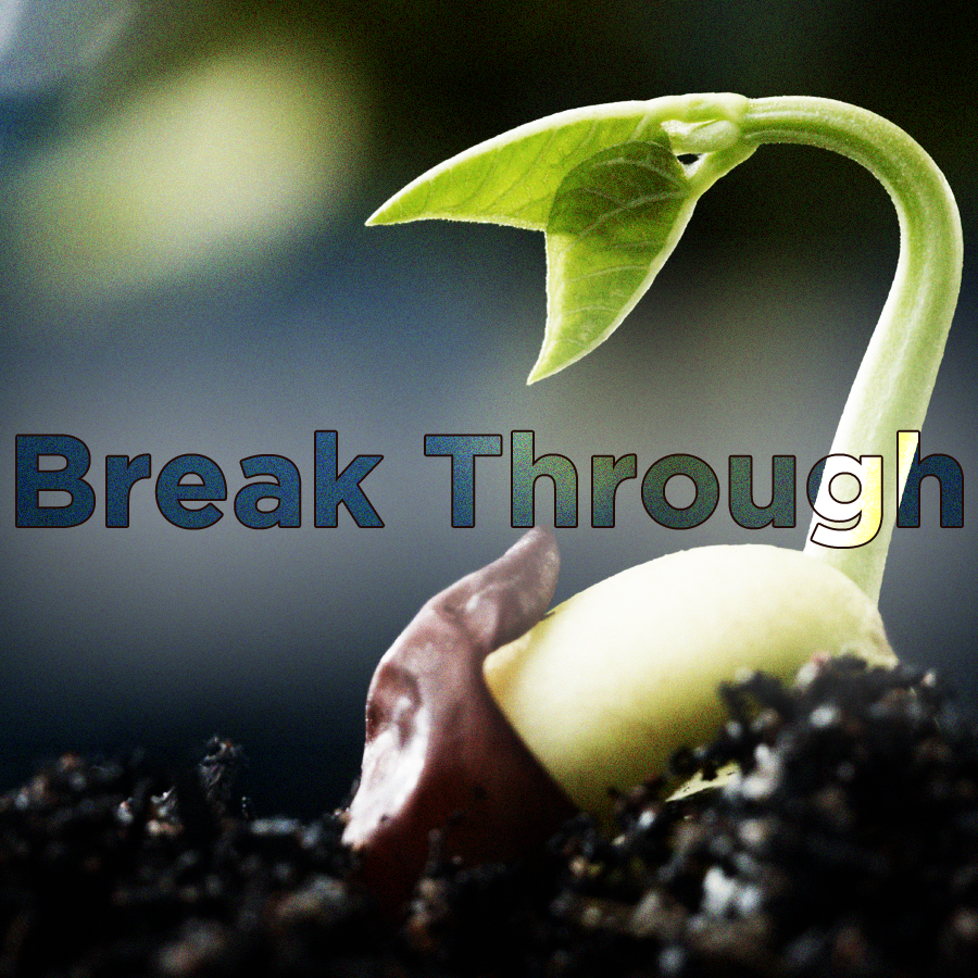 Time To Grow