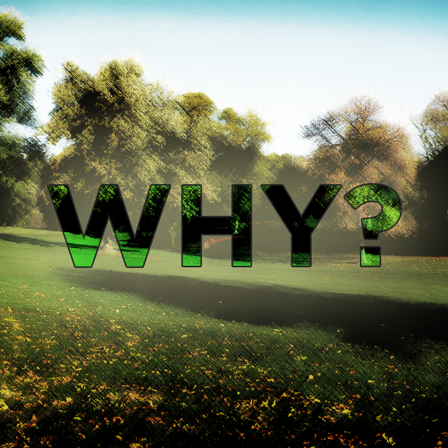The Purpose Driven Question