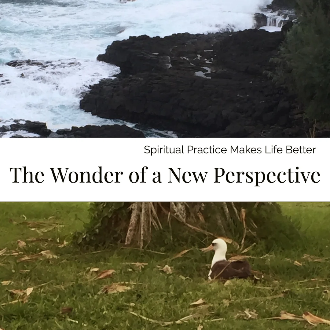 The Wonder of a New Perspective