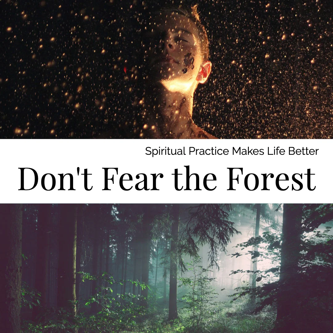 Don't Fear the Forest