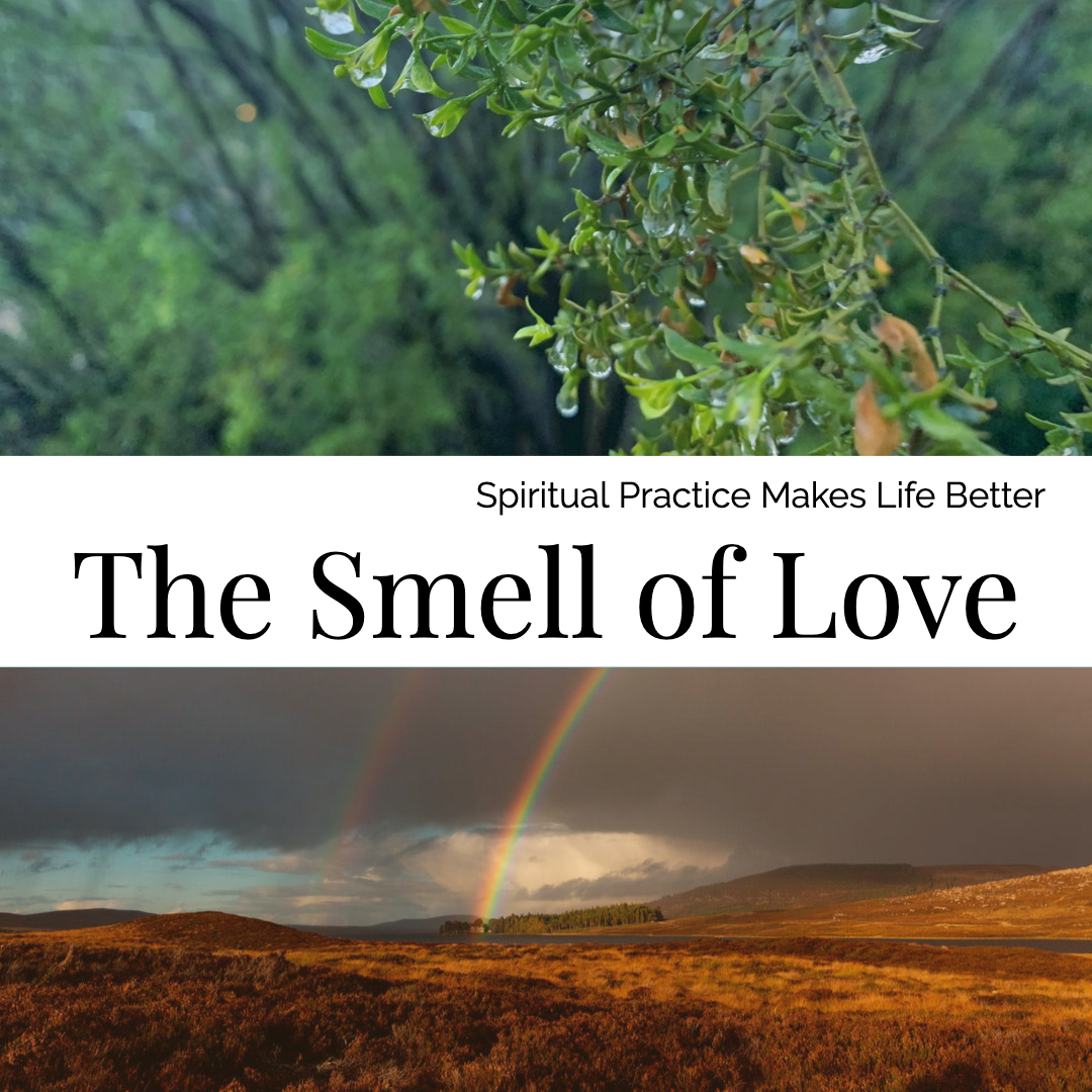 The Smell of Love