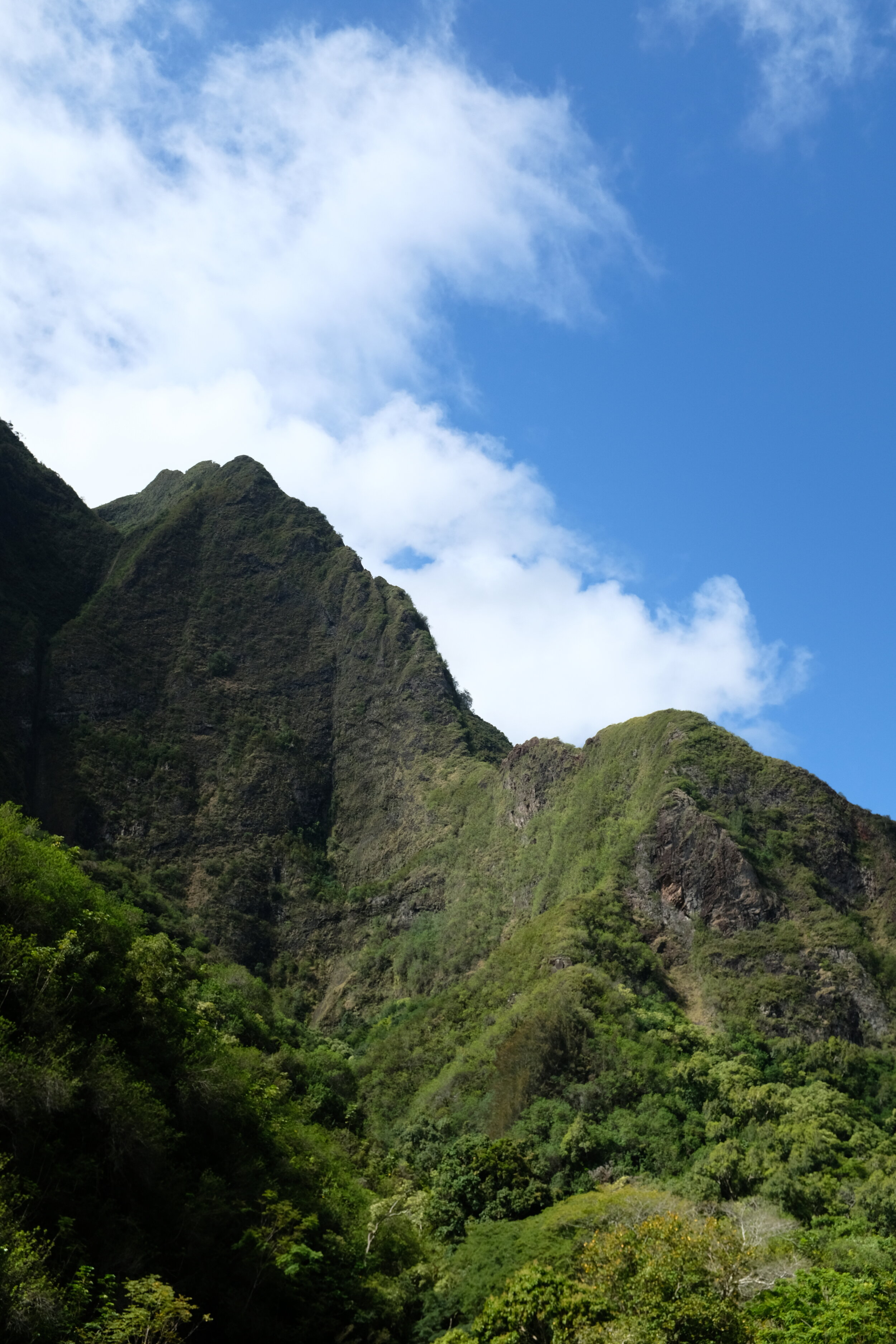 DSCF1636.JPG