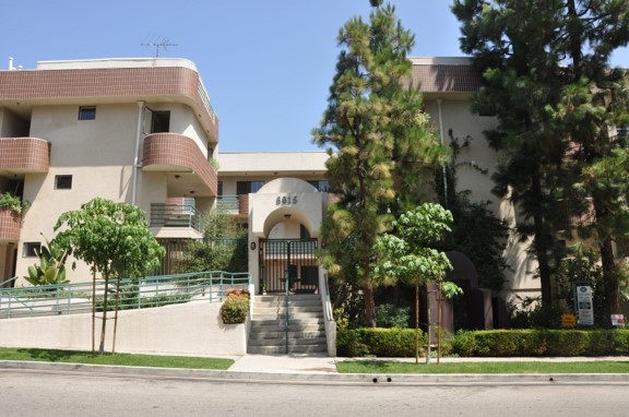 Picture1.jpg