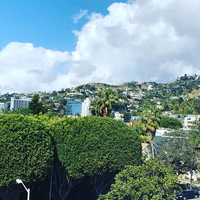 Taking in the views on this gorgeous day...🙌🏻 #empirepropertygroup #empireatnorton #empireatburtonway #empireatbw #empireatkings #empireatbellagio #westhollywoodapartments #westhollywood #weho #weholiving #beverlyhills
#lovebeverlyhills #beverlyhillsliving #beverlyhillsapartments #belairapartments #luxuryapartments #nyinla #realestate #developer #losangelesapartments #architecture #apartmentdesign #luxurydevelopment #residentialdesign