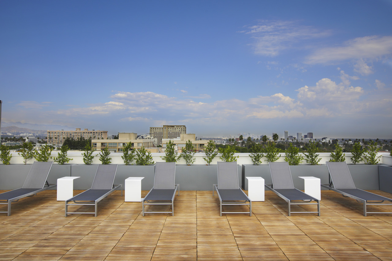 Rooftop Sun Lounge Daytime.jpg