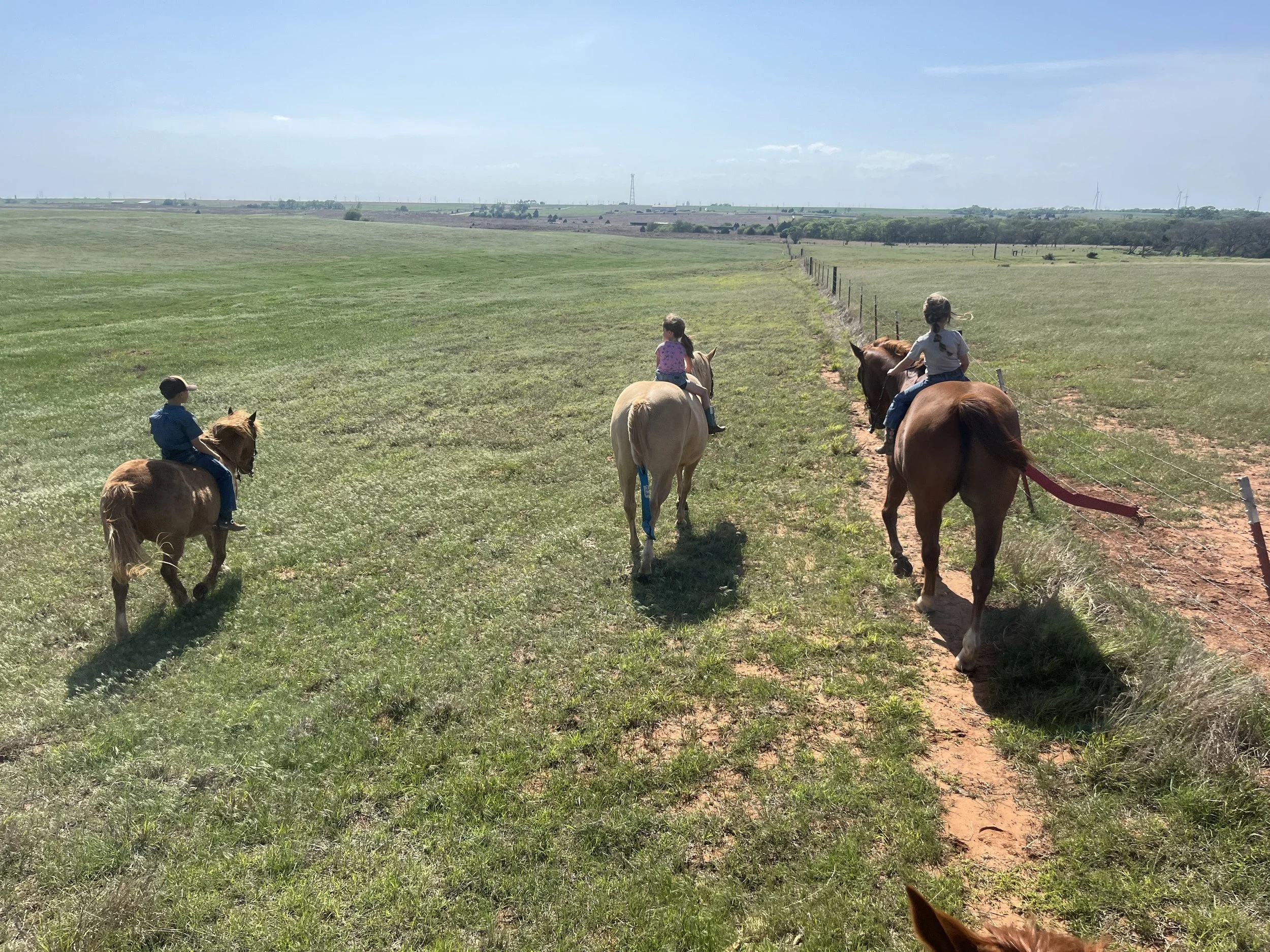 Spring pastures can bring trouble for horses