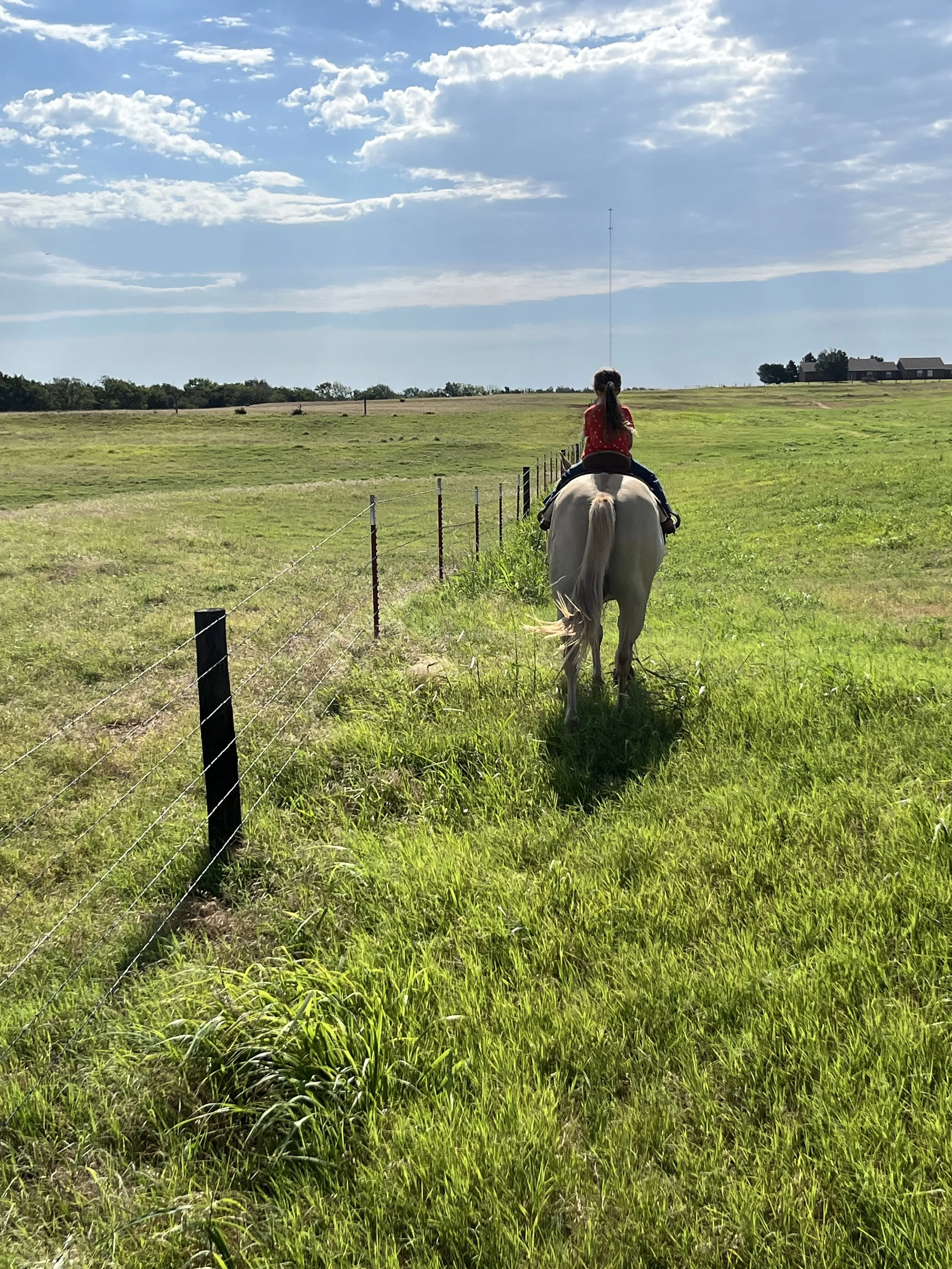 Equine veterinarian Dr. Bruggen says riding horses up and down hills can help improve their physical fitness.