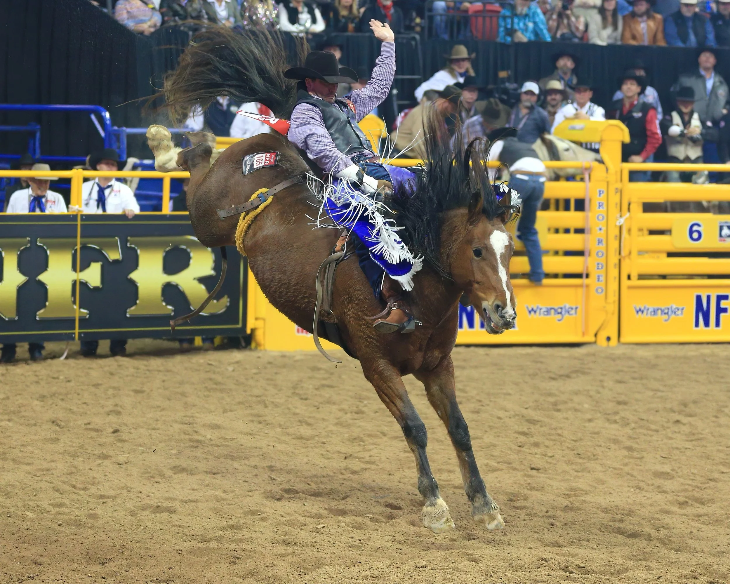 Caleb Bennett 10-time NFR Bareback Rider