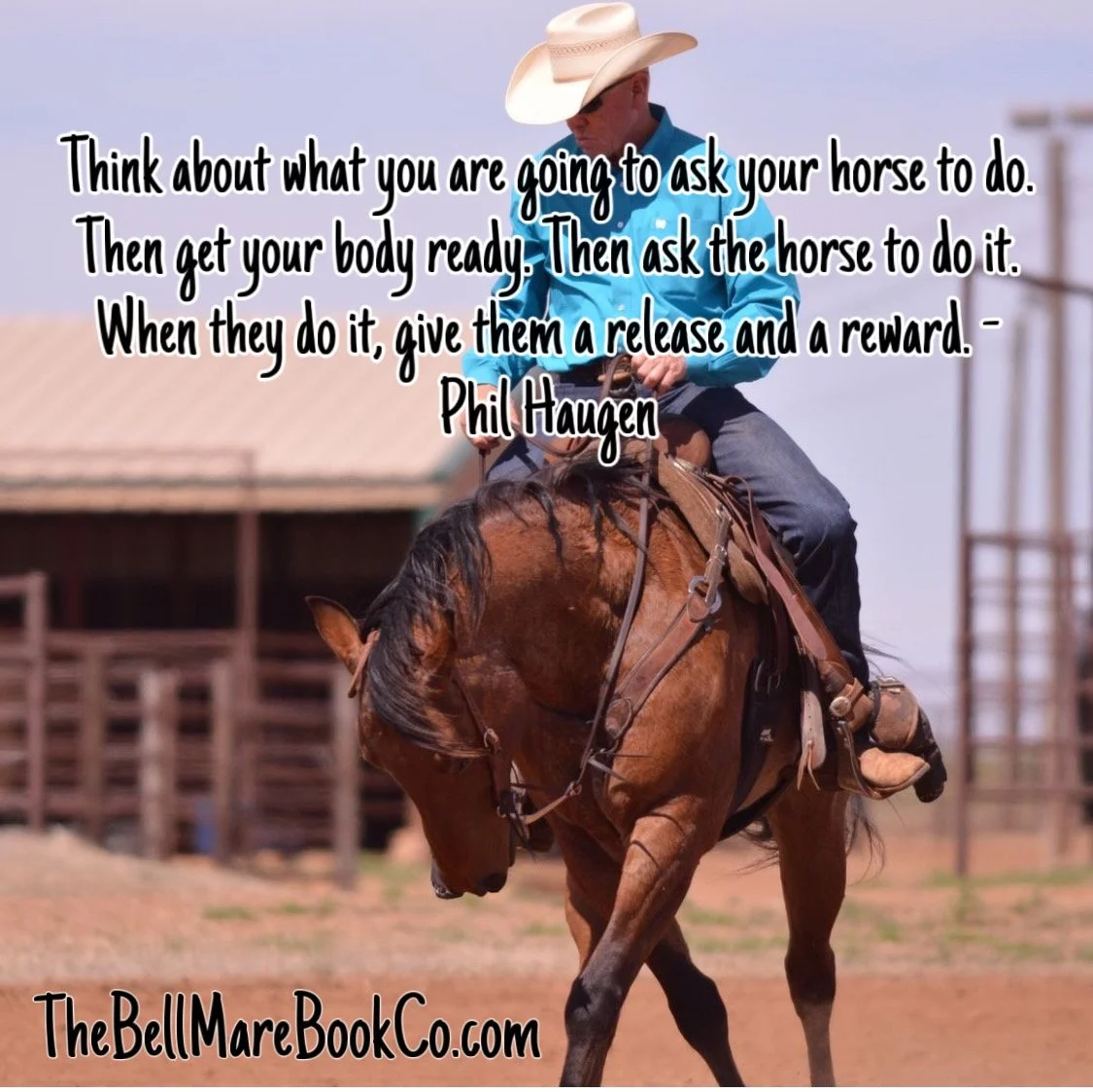 Phil Haugen - Horsemanship Advice for Rodeo Kids — The Bell Mare 