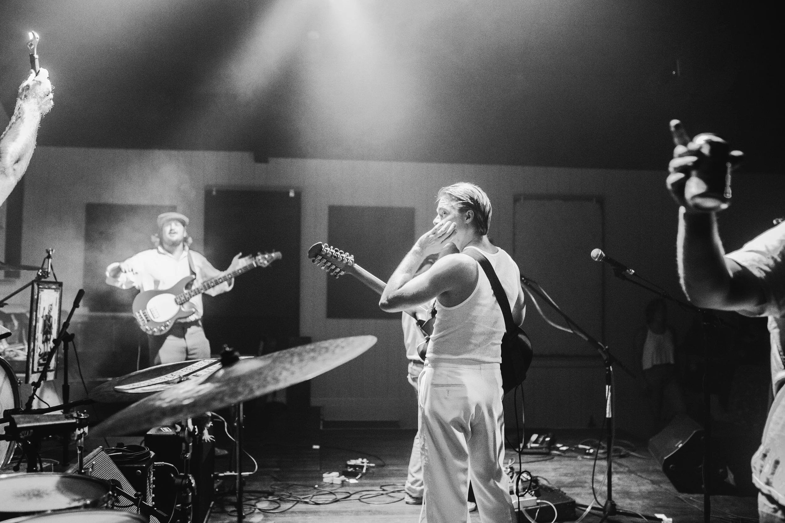 Lemon Stevies // Butchers Dozen