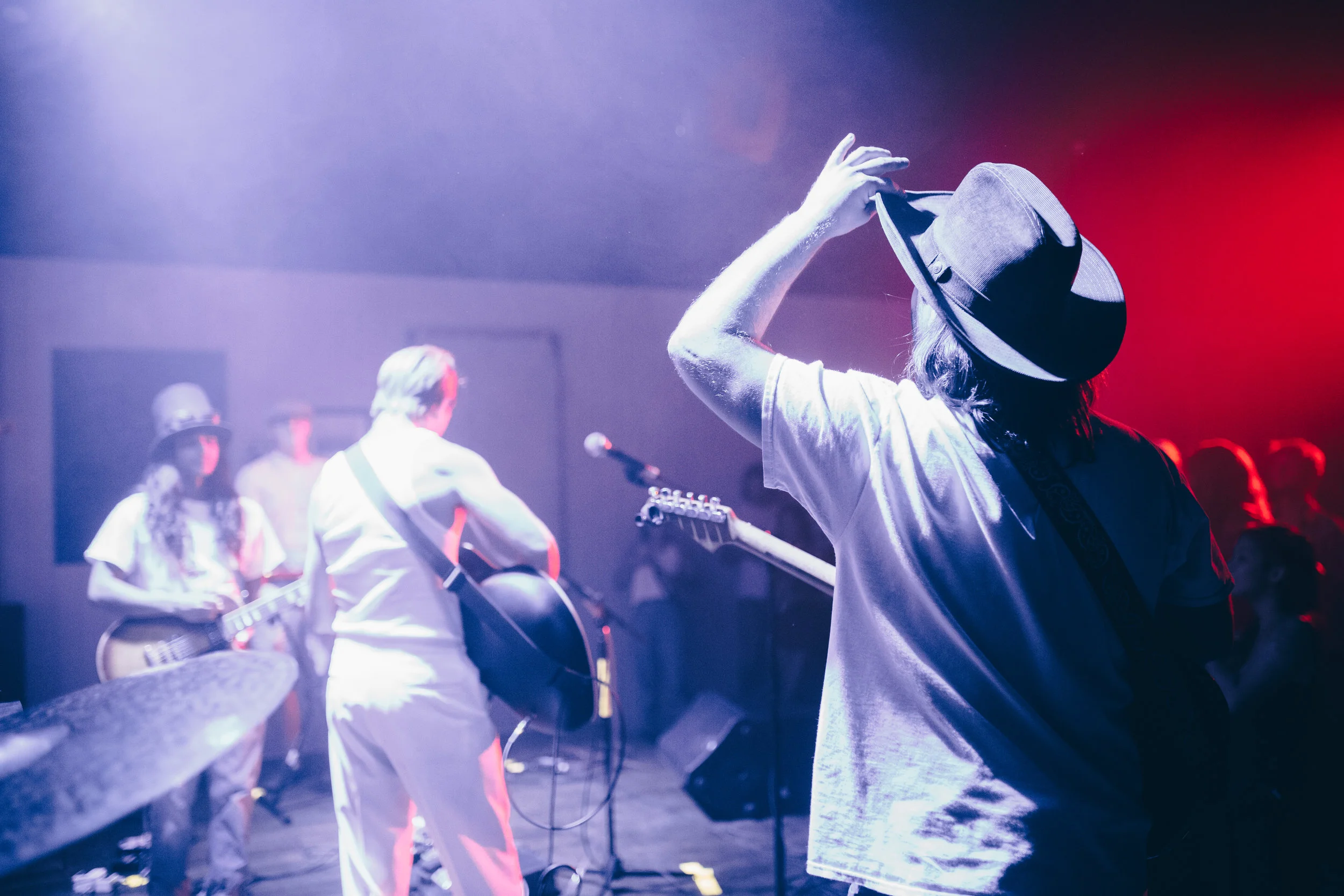 Lemon Stevies // Butchers Dozen