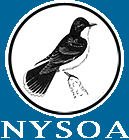 nysoa-logo.png