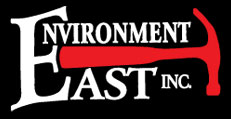 environment east.jpg