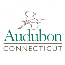 Audubon-CT-logo.png